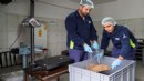 Büyükşehir sahipsiz canlar için kendi mamasını üretiyor: Hedef günde 1 ton
