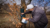 Büyükşehir’den çiftçiye sonbahar destekleri