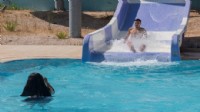 Büyükşehir’den gençlere aquapark keyfi