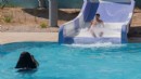 Büyükşehir’den gençlere aquapark keyfi