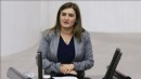 CHP'li Kılıç'tan yangın isyanı: Önergeler rafta, önlemler lafta kaldı!