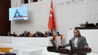 CHP'li Ösen’den Egeli milletvekillerine çok sert 'zeytinlik' çıkışı!