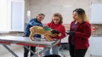 Can dostlar için Menemen'de rekor tedavi sayısı
