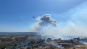 Rüzgar etkisiyle ilerliyor: Çanakkale'de orman yangını!