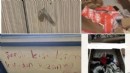 Cevizlibağ yurt tacizcileri tutuklandı