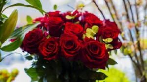 Çiçekçilerde Sevgililer Günü mesaisi