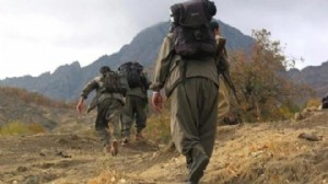 DEM Parti: PKK haftaya silah bırakacak!