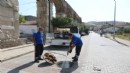 Efes Selçuk'ta kapsamlı ilaçlama