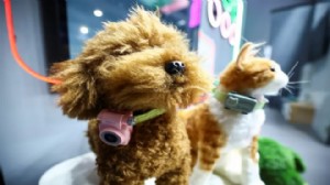 Evcil hayvanlar için akıllı telefon!