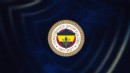 Fenerbahçe'ye 3 dönem transfer yasağı cezası!