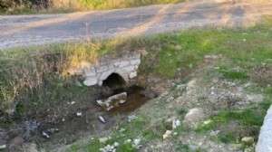 Göbek bağı daha kurumamış... Bu nasıl vicdan?