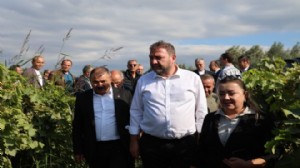 Gümrükçü: Tatlı üzümde acı fiyat olmaz!