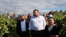 Gümrükçü: Tatlı üzümde acı fiyat olmaz!