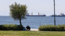 Haftanın hava durumu: İzmir’de güneşli günler!