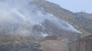 Hatay'daki orman yangını kontrol altında