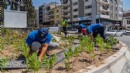 İklime uyumlu peyzaj seferberliği: İzmir'de kuraklığa karşı yeşil dönüşüm!