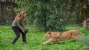 İsmi anketle belirlenmişti... Doğal Yaşam Parkı'nda öldü... Belediyeden açıklama!