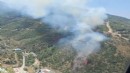 İzmir alev alev: Bir orman yangını daha!