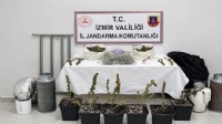 İzmir'de 5 kilo skunk ele geçirildi
