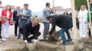 İzmir'de 7 bölgenin toprağı Cumhuriyet çınarında buluştu