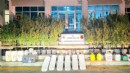 İzmir'de 'Narko Pars' baskını!