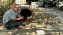 İzmir'de vahşet: 15 can dost hayatını kaybetti... Soruşturma başlatıldı!