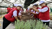 İzmir'de miniklere doğa ve tarım sevgisi aşılayan kamp