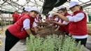 İzmir'de miniklere doğa ve tarım sevgisi aşılayan kamp