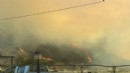 İzmir'de otluk alanda yangın: Havadan ve karadan müdahale!