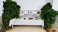 İzmir'de uyuşturucu operasyonu: 1 tutuklama