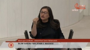 Meclis'te Kürtçe 'Allah belanı versin' tartışması