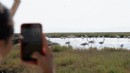 İzmir’de bayram rotası Flamingo Yolu!