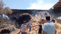İzmir’de çiftlik yangını: Hayvanlar telef oldu!