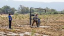 İzmir’de tarım için kritik proje: Çorak topraklar yeniden can buldu!