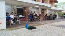 İzmir’de tasarım ve doğa buluştu
