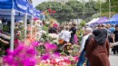 İzmir’i bahar kokusu sardı!