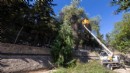 İzmir’in derelerinde kış seferberliği