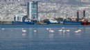 İzmir’in iklim deneyimi Avrupa’ya taşınacak