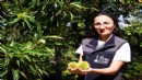 İzmir’in kestanesine gal arısı kalkanı