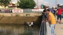 Kanala düşen telefonunu almak istedi, canından oldu!