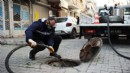 Karşıyaka'da haşereye geçit yok!