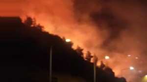 İzmir'de korkutan yangın!