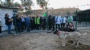 Karşıyaka'da tüylü dostlar için yeni yuva!