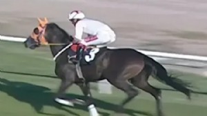 Kavurma yapılan at, İngiliz basınında!