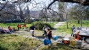 Kedili Park artık güvende: Nefes aldıran çalışma!