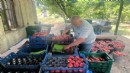 Kemalpaşa’da şeftali bereketi