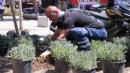 Konak’ın parklarında bakım seferberliği