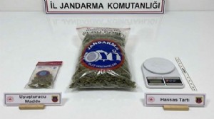 Konteynerde uyuşturucu ele geçirildi: 3 gözaltı
