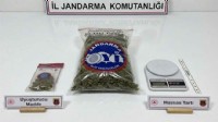 Konteynerde uyuşturucu ele geçirildi: 3 gözaltı