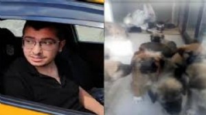 Köpekleri öldürmekle suçlanan doktor için karar!